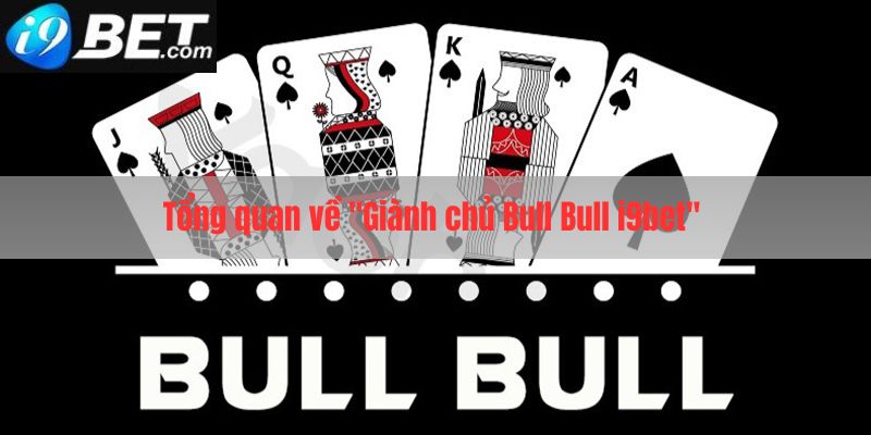 Tổng quan về sân chơi giành chủ bull bull i9bet 